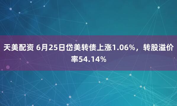 天美配资 6月25日岱美转债上涨1.06%，转股溢价率54.14%